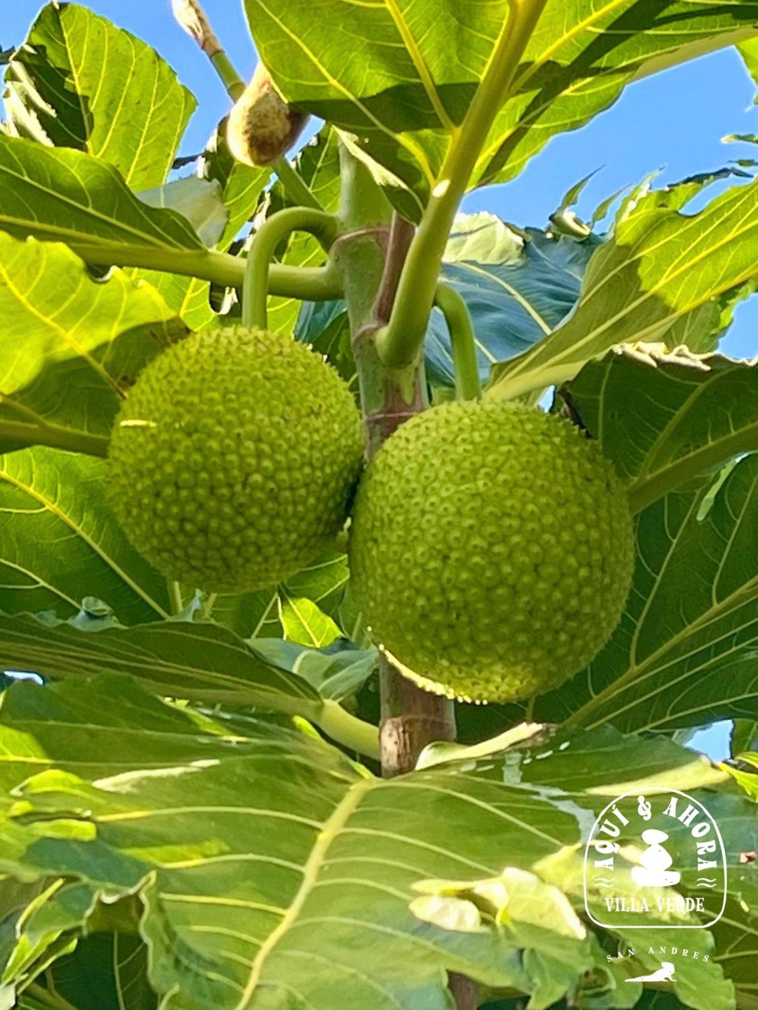 Aqui Ahora At Villa Verde San Andrés 外观 照片